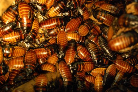 756608073_1ba5164028_b